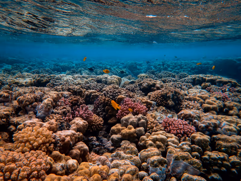 Diversdesk feature arrangement